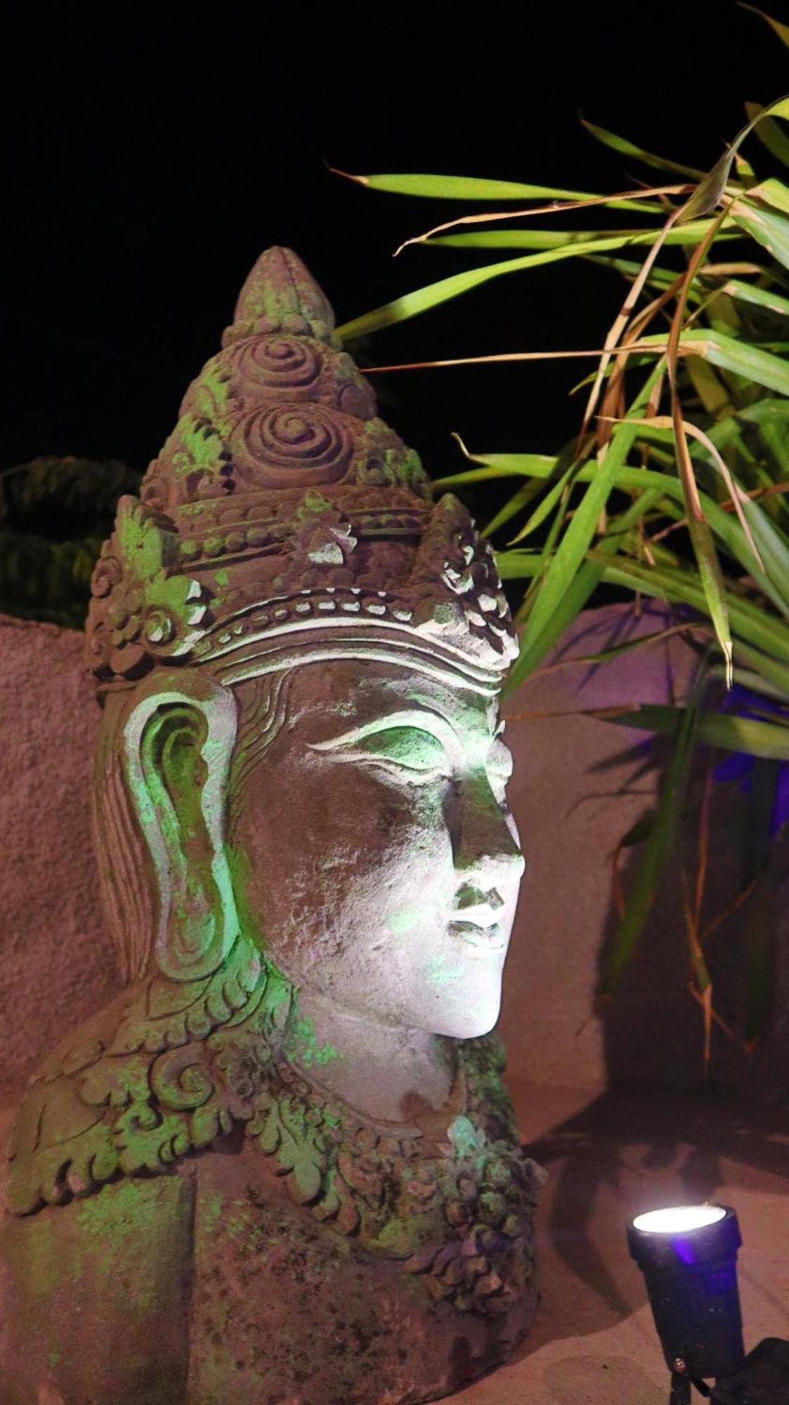 Pranajaya Oasis Villa Tejakula Exterior foto